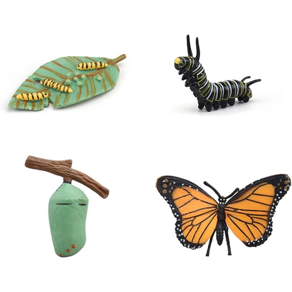 4PC Insect Figurines Life Cycle of Rooster, Ant, Bee, Butterfly, Ladybug, Frog, Salmon|Plastic Bugs for Safariology Animal Figures, Preschool Science Educational Toy (Butterfly Cycle)
