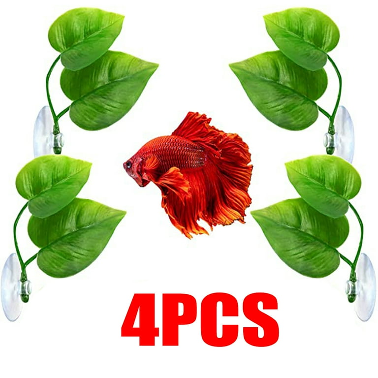 Betta fish on leaf hammock deals