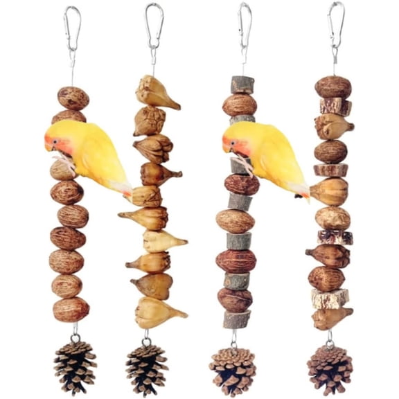 4PCS Bird Chewing Toys, Nuts Chew Toy, Parrot Beak Grinding Mouth Bite Resistance Natural Nuts Wood Pinecones Hanging Parrot Chew Toys for Budgies Conure Cockatiel Lovebird Quaker