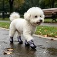 thumbnail image 1 of 4PCS Breathable Dog Shoes Waterproof Non Slide Night Suitable for Small Medium and Large Dogs Boots for Daily Walking, 1 of 6