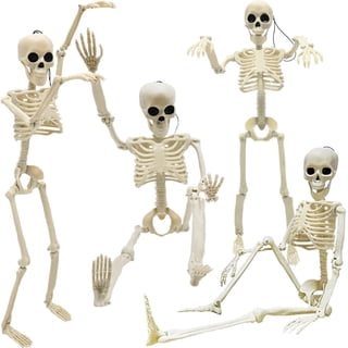 4PCS Halloween Skeletons Decorations, 16" Full Body Plastic Mini Little Skeleton Posable Joints Poseable Skeleton for Halloween Party Hanging Decoration Yard Lawn Garden Patio Decor