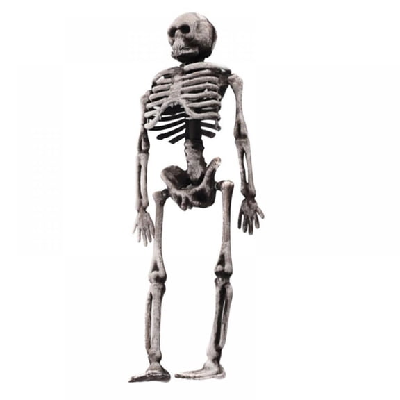 4PCS Skeleton Human Model Skull Full Body Mini Toy Phone Human Model Anatomy Skeleton Skeleton Model Halloween Party Decoration