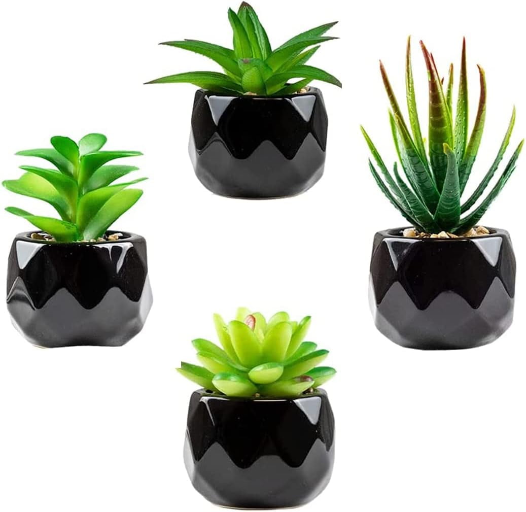 Curated visual reference: Picture Idea: 4Pcs Artificial Succulent Plants In Black Ceramic Pots Small Fake