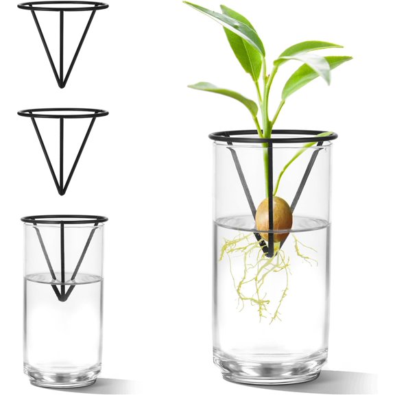 4Pcs Avocado Seed Starter vase Holders That can be Used as Propagation Kits for Plant Propagation vases, not only for Avocados but Also for Other Similar Plants (Carrots, Sweet Potatoes, etc)
