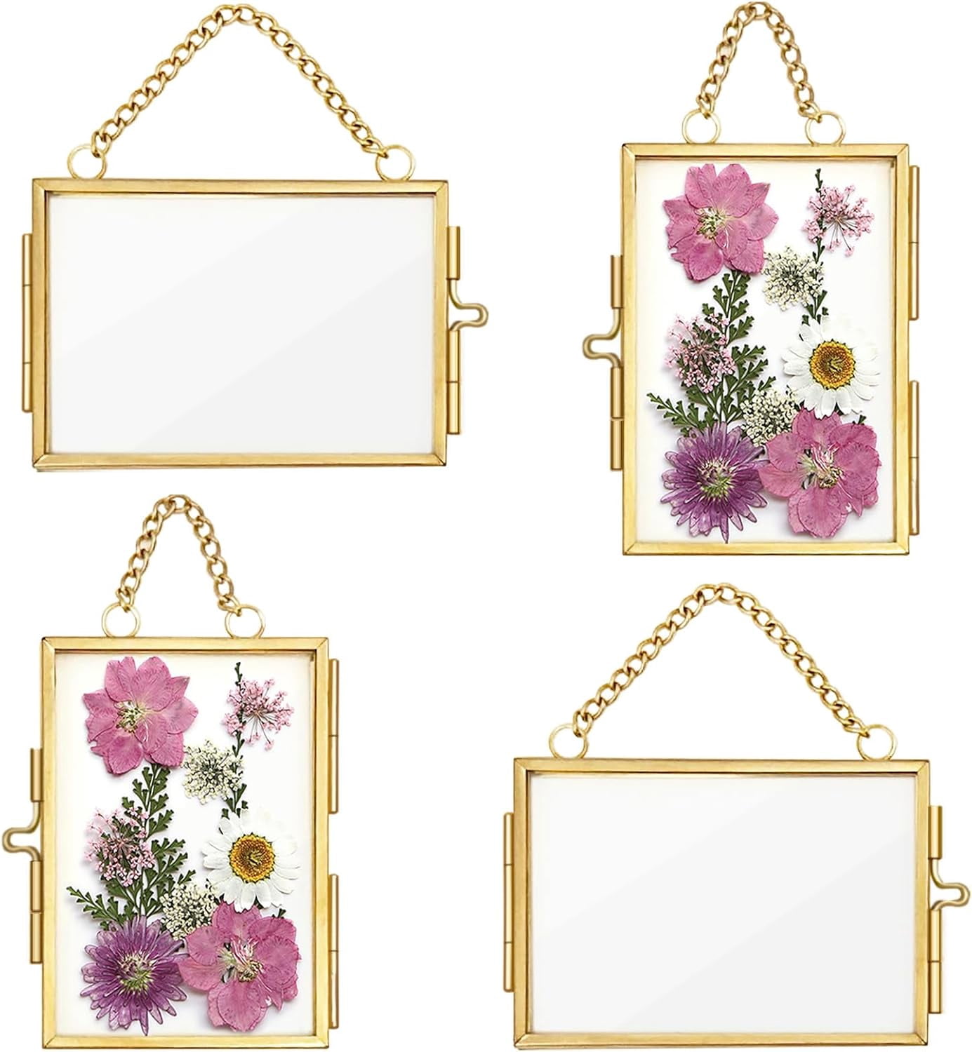 3 Inch Picture Frame 4Pcs Double Glass Frame for Pressed Flowers, 2x3 inch Picture Frame ...