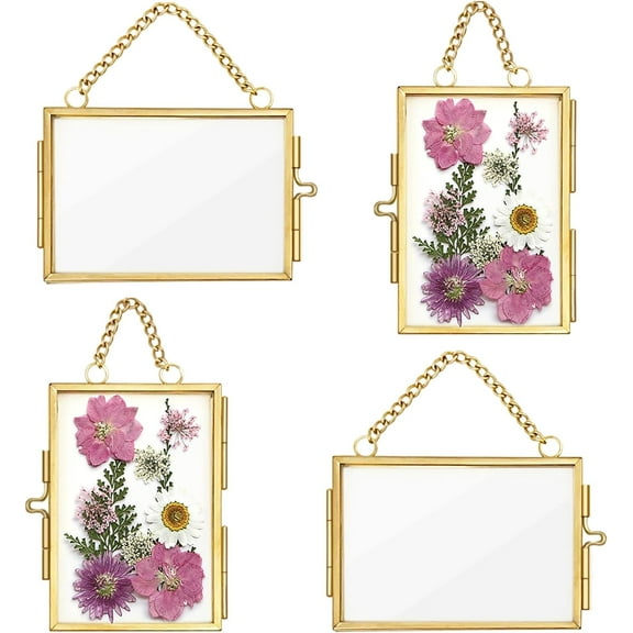 4Pcs Double Glass Frame for Pressed Flowers, 2x3 inch Picture Frame Mini Brass Wall Hanging Photo Frame Floating Frame with Chain for Plant Specimen Artwork Display Home(Gold)