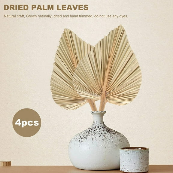 4Pcs Dried Palm Leaves Dried Palm Fans Tropical Palm Leaves