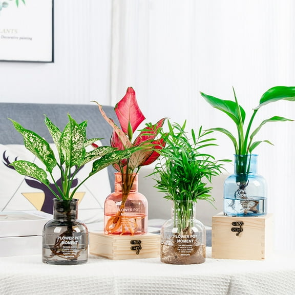 4Pcs Hydroponic Vase Yannianjz Transparent Hydroponic Small Potted Flora Pots, Indoor Living Room Desktop Hydroponic Plastic Flower Pots, Water Cultivation Vase for Greenery, Home Office Decor