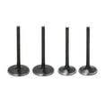 thumbnail image 1 of 4Pcs MX Intake + Exhaust Valves Kits Set for Kawasaki KX450F KX 450 F 2017 2018, 1 of 5