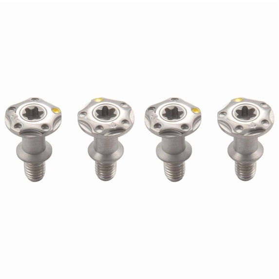 4Pcs Multi Grams Golf Weight Weight for R7 R9 R11 R11S R1 Golf Weight Driver,4G