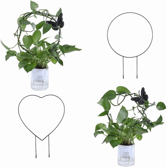 4Pcs Plant Trellis Metal Potted Plant Support for Climbing Plants Garden Potted Plants for Indoor Outdoor Use Pothos Ivy Junzi Orchid Money Tree Pocket Coconut Mini Rose Black Butterfly Black 1set