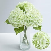 4Pcs Real Touch Hydrangea Artificial Flowers, Green & White Fake Hydrangea Flowers, 21" Lifelike Latex Faux Hydrangea Flowers for Wedding Bouquet Home Decor Centerpieces