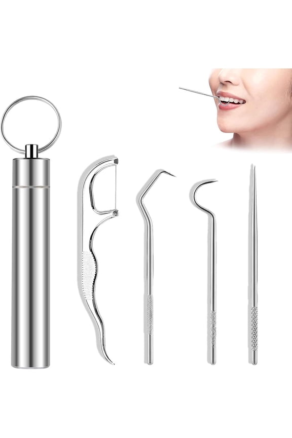 4Pcs Stainless Steel Toothpicks Set Portable Toothpick with Keychain Box Reusable Metal Toothpicks Cleaning Tooth Hook Scraper Pick Teeth Tool for Outdoor Picnic Camping Traveling