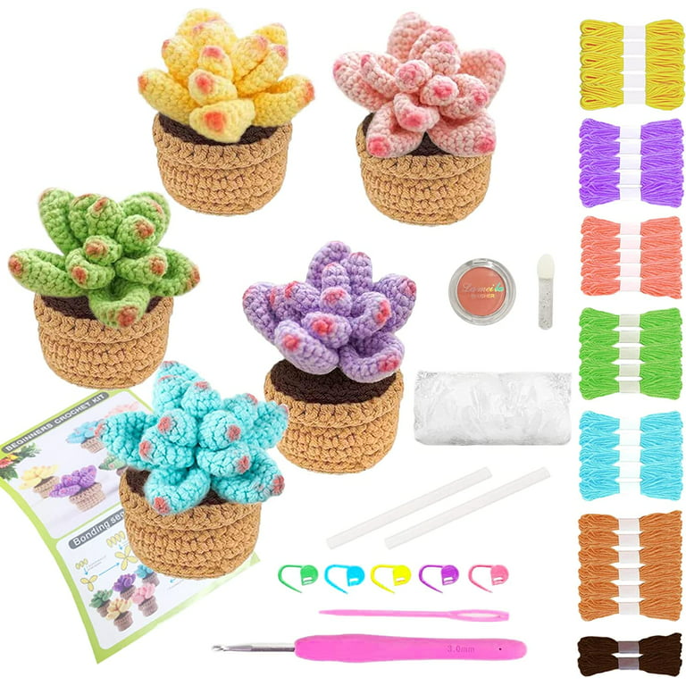Baiyou Crochet Kit for Beginners - 4pcs Succulents Beginner Crochet Starter Kit for Complete Beginners Adults Crocheting Knitting Kit with Step-by-Ste