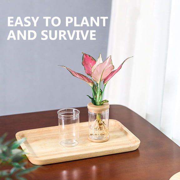 4Pcs Transparent Cylinder Flower Pots Plastic Planters Imitation Glass Style for Modern Home Plant Display