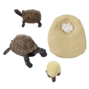 4Pcs Turtle Figurines Life Cycle Set of Turtle Realistic Creature Turtle Figure Kids Educational Ocean Science Toys