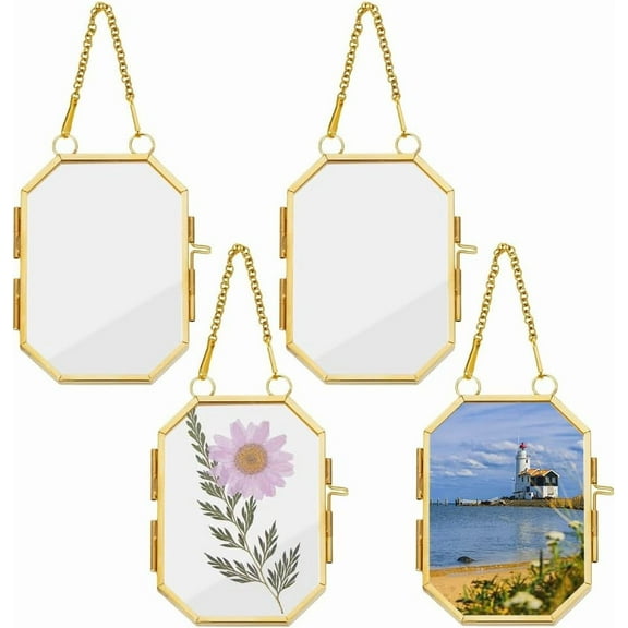 4Pcs Wall Hanging Photo Frames 3.9x2.64 Inch Double Glass Picture Frame with Chain Octagonal Brass Frame DIY Vintage Artwork Display Frames for Pressed Flowers Pictures Home Wall Clear DIY