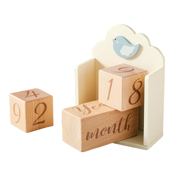 4Pcs/set Cartoon Baby Landmark Blocks Set for Newborns Photography with Year Month Week Age Indication