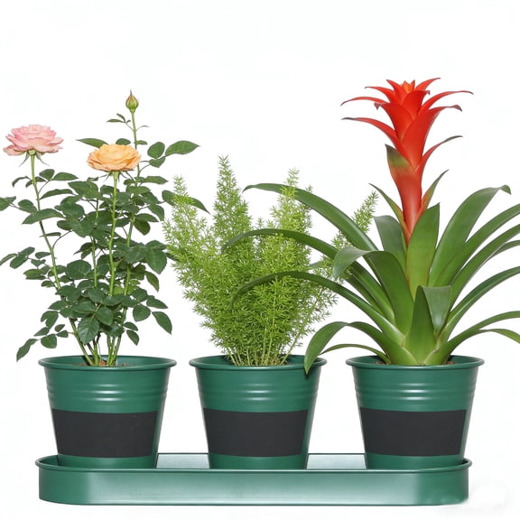 4W Indoor Metal Herb Garden Planter Set, 3 Pots with Tray and Chalkboard Labels, Green