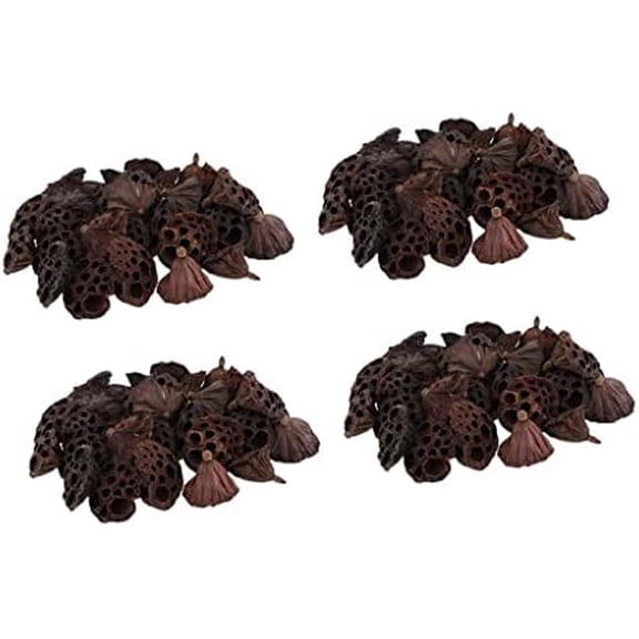 4X 30pcs Natural Dried Lotus Pod Flowers Fruit for Crafts DIY$$Home Decor, Kitchen, & Other