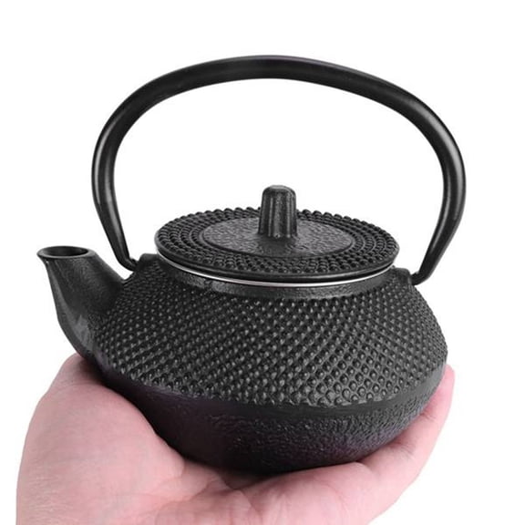 4X Iron Tea Pot with Stainless Steel Infuser Cast Japanese Iron Teapot Oolong Tea Puer Tea Tea Kettle 300ML