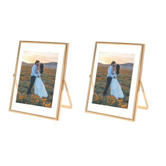 4X6 Picture Frame Set of 2, for Multiple Photo Sizes (4X6, 3X5, 2X3), Metal Glass Floating