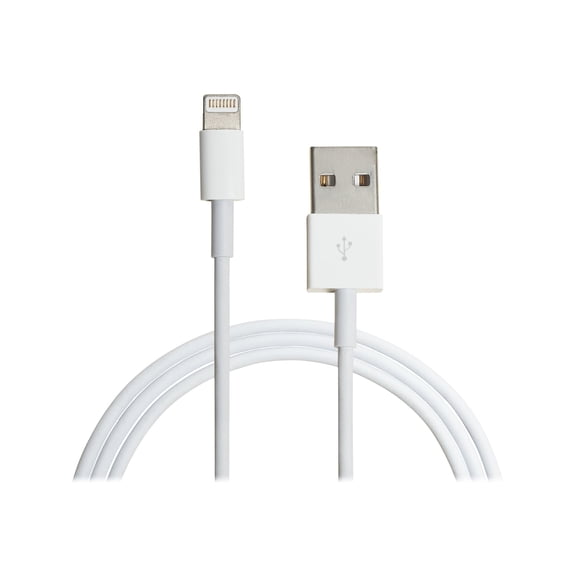 10FT LIGHTNING 8PIN CABLE