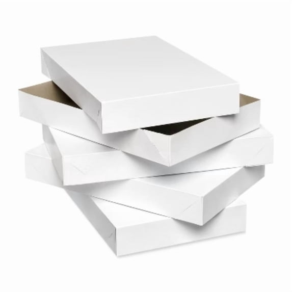 4ct 14.75" All Occasion Shirt Boxes White