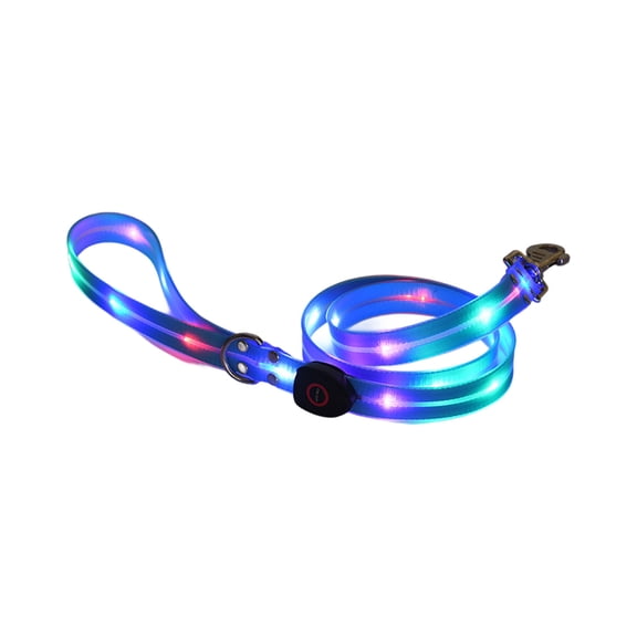 4ft USB Rechargeable LED Light Up Dog Leash, Glow in The Dark Illuminated Nylon Lead for Nighttime Dog Walking Safety with Adjustable Brightness for Small Medium Large Dogs, Blue