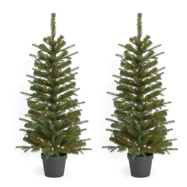 4ft Valley Pine Porch Tree (Set of 2) Each Tree is Pre-Lit with 50 UL Clear Lights by Seasonal LLC