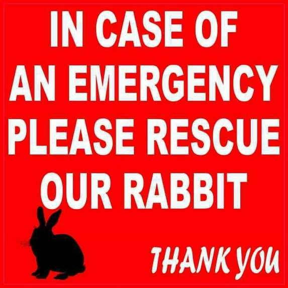 4in x 4in In Case Of An Emergency Please Rescue Our Rabbit Magnet Sign ...