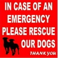 thumbnail image 1 of 4in x 4in Please Rescue Our Dogs Magnet, 1 of 2