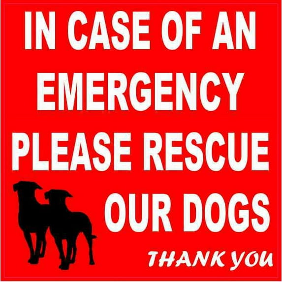 4in x 4in Please Rescue Our Dogs Magnet