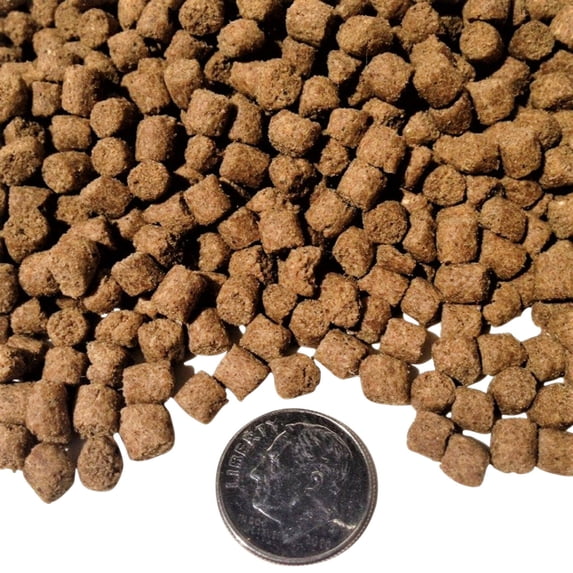 4mm Sinking / Slow Sinking 3/16" Z Pellets for all Fish, Cichlids, Discus…8-lbs