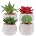 thumbnail image 1 of 4pcs Artificial Potted Plant Decoration Vivid Succulent Model for Indoors and Outdoors Desk, 1 of 11