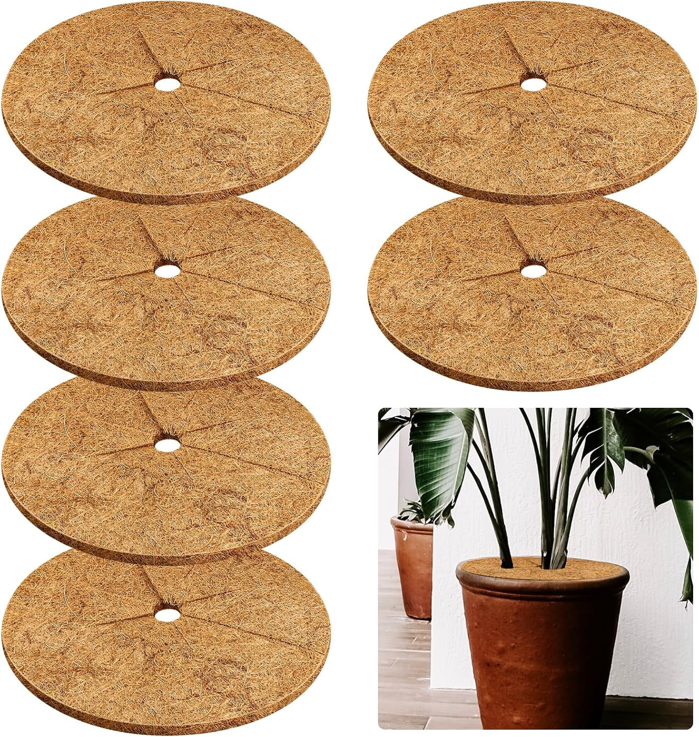 4pcs Coconut Fiber Mulch Ring Tree Plant Protector Mat, 11.8 Inch ...