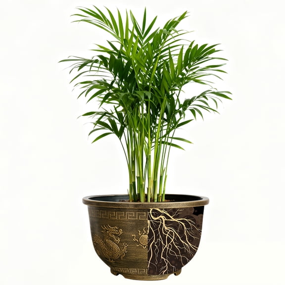 4pcs Large 15-Inch Resin Flower Pots with Drainage Holes - Heavy-Duty Indoor/Outdoor Garden Pots, Elegant Dragon Design, for Succulents, Houseplants