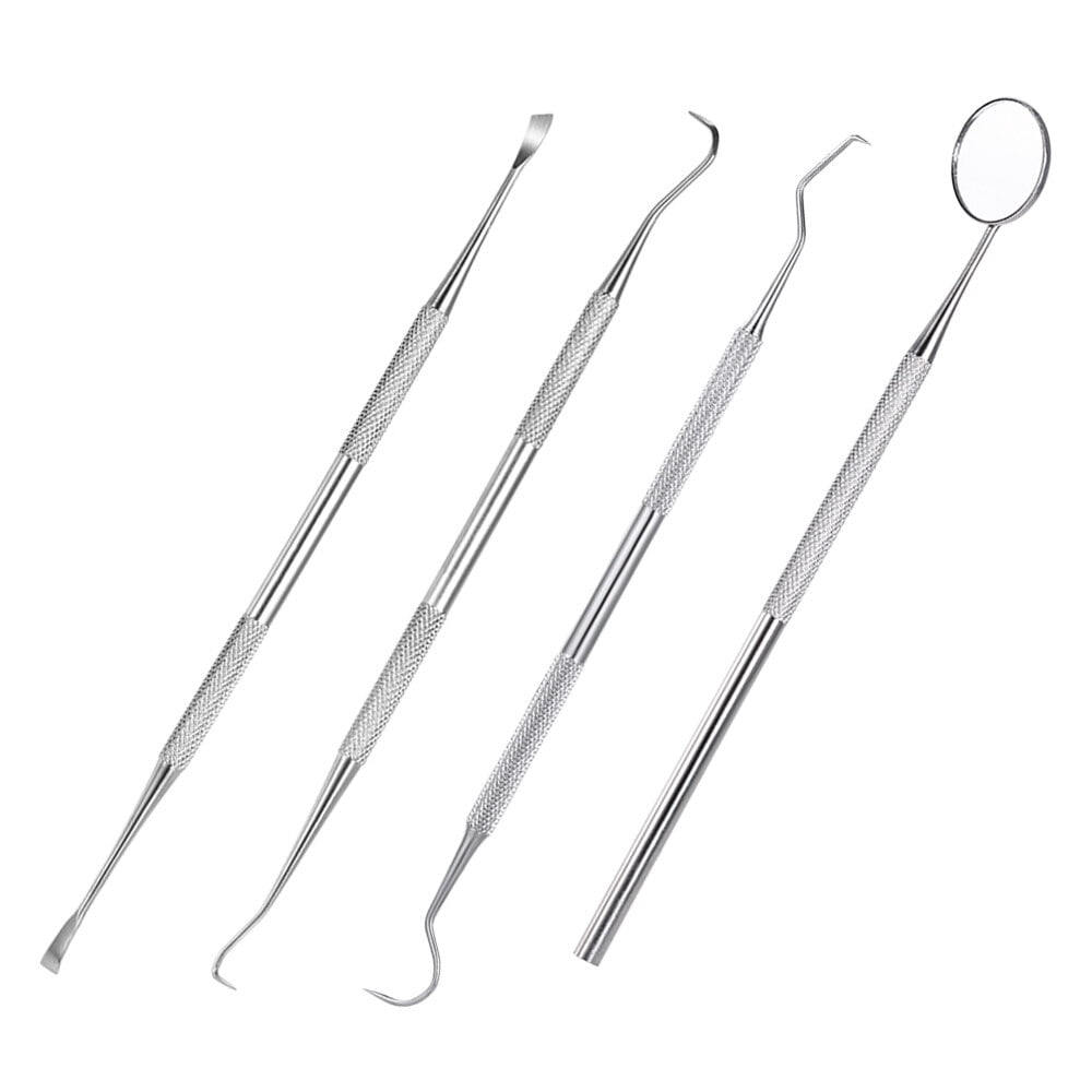 4pcs Stainless Steel Dental Tools Kit Dentists Pick Tool Teeth Scraper