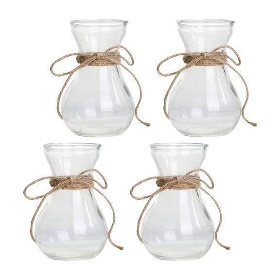 4pcs Transparent Glass Vase Hydroponic Plants Container DIY Planting Glass Vase