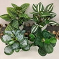 thumbnail image 1 of 4pcs/set, Small Fake Plants In White Planters, Artificial Plants For Home Decor Indoor, Plastic  Plants For Office Desk Bathroom Bedroom Greenery Decoration, 1 of 6