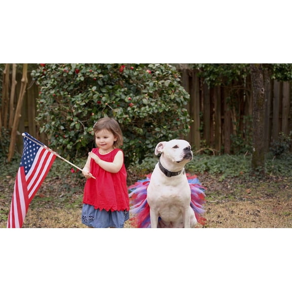 4th Of July Dog Tutu Skirt | XS-XXXL