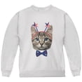 thumbnail image 1 of 4th of July Funny Cat Youth Sweatshirt White YSM, 1 of 1
