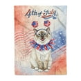 thumbnail image 1 of 4th of July Ragdoll Celebrates Independence Day Cozy Fleece Blanket Cat Lover Kitten Owner Gifts Idea Warm Soft Throw Blanket - 12010, 1 of 5