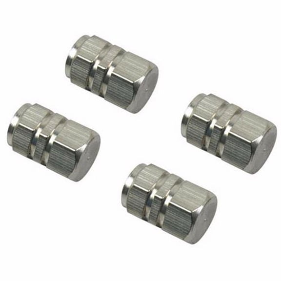 BSBSDJB Wheel Tire Valve Stem Air Caps Silver Aluminum Universal 4-Pack