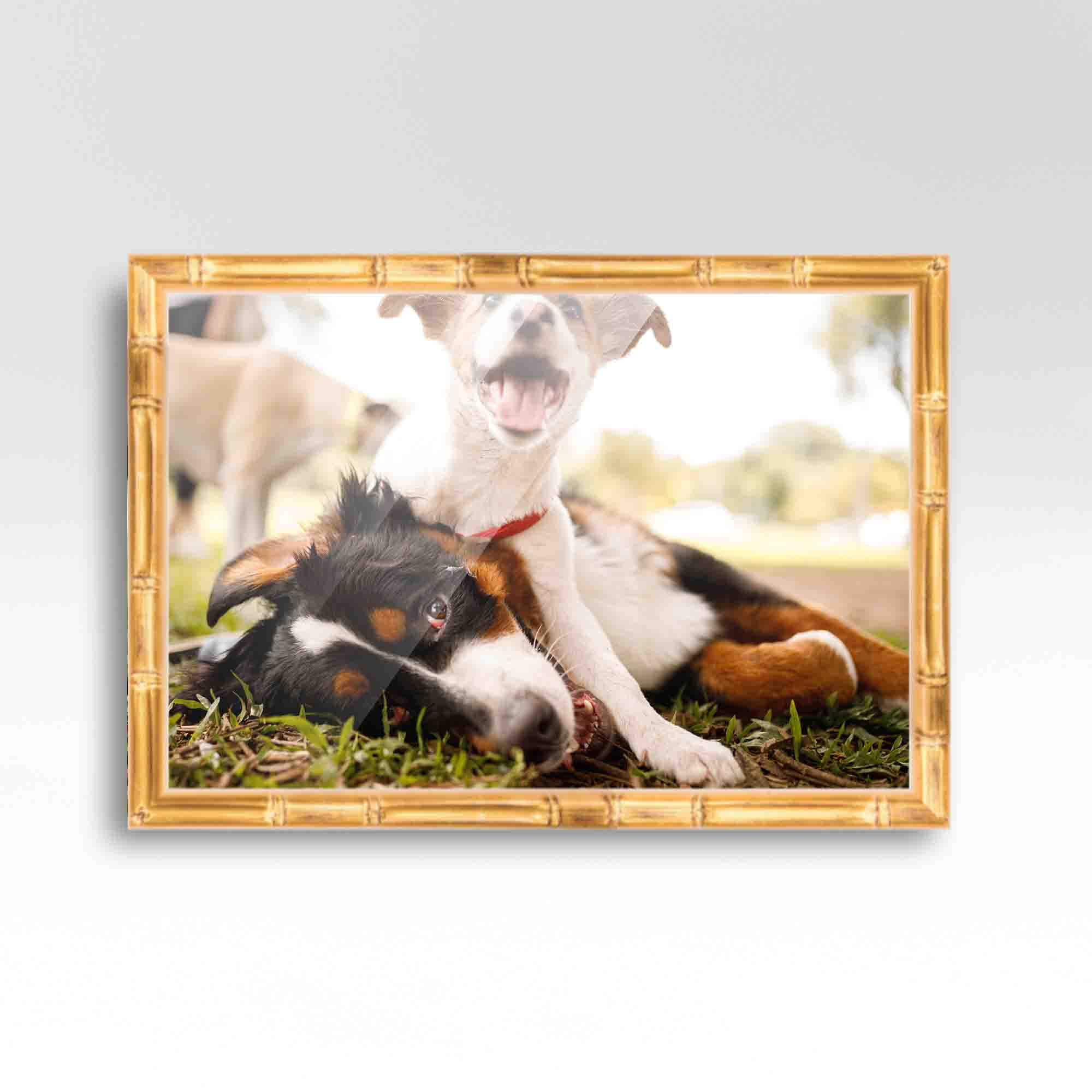4x10 Frame Gold Real Wood Picture Frame Width 1 inches, Interior Frame  Depth 0.75 inches