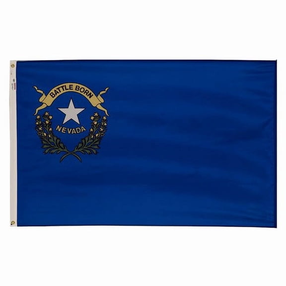 4x6' POLYWAVEZ NEVADA POLY II FLAG CH&G