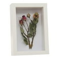 thumbnail image 1 of 4x6 IN Small Shadow Box Frame Display Case with Real Glass Memory Box Display Casefor Memorabilia,Wedding Memories,Pins,Awards,Crafts,Tickets and Photos(B), 1 of 8
