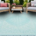 thumbnail image 1 of 4x6 Water Resistant, Indoor Outdoor Rugs for Patios, Front Door Entry, Entryway, Deck, Porch, Balcony | Outside Area Rug for Patio | Aqua, Floral | Size: 4' x 5'3'', 1 of 8