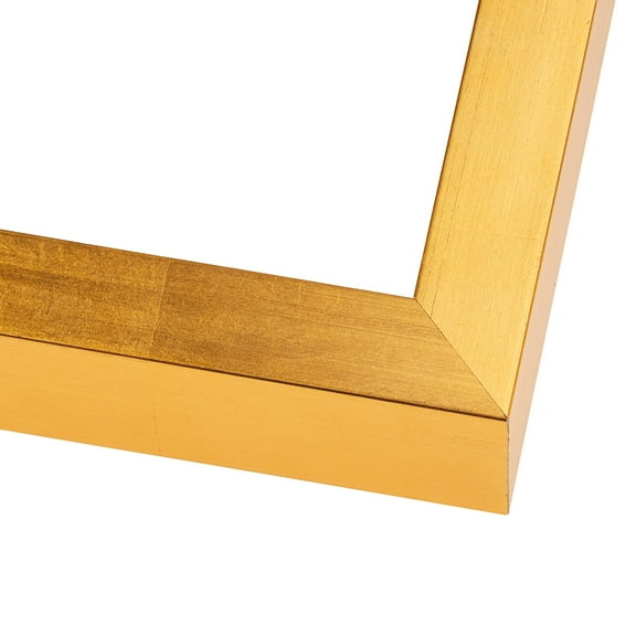4x7 Minimalist Shadow Box Gold Picture Frame - UV Acrylic, Backing, Hanging Hardware