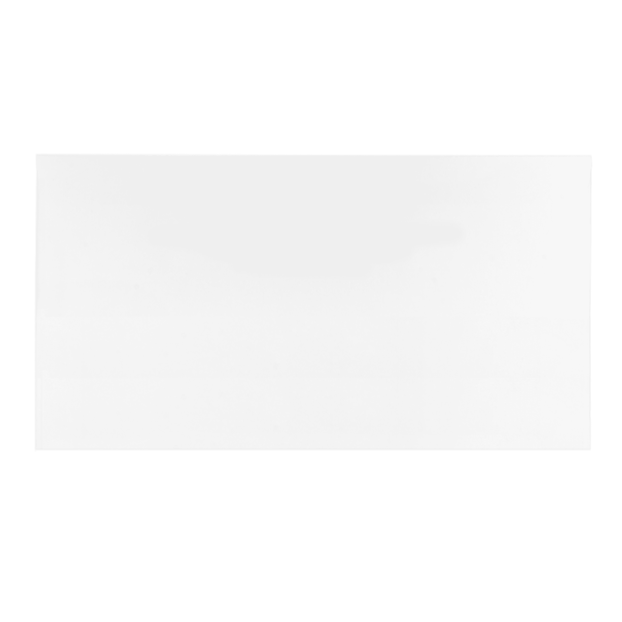 4x8 Blank Envelope